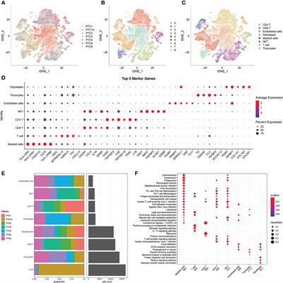 Analysis of the key ligand receptor CADM1_CADM1 in the regulation of thyroid cancer based on scRNA-seq and bulk RNA-seq data